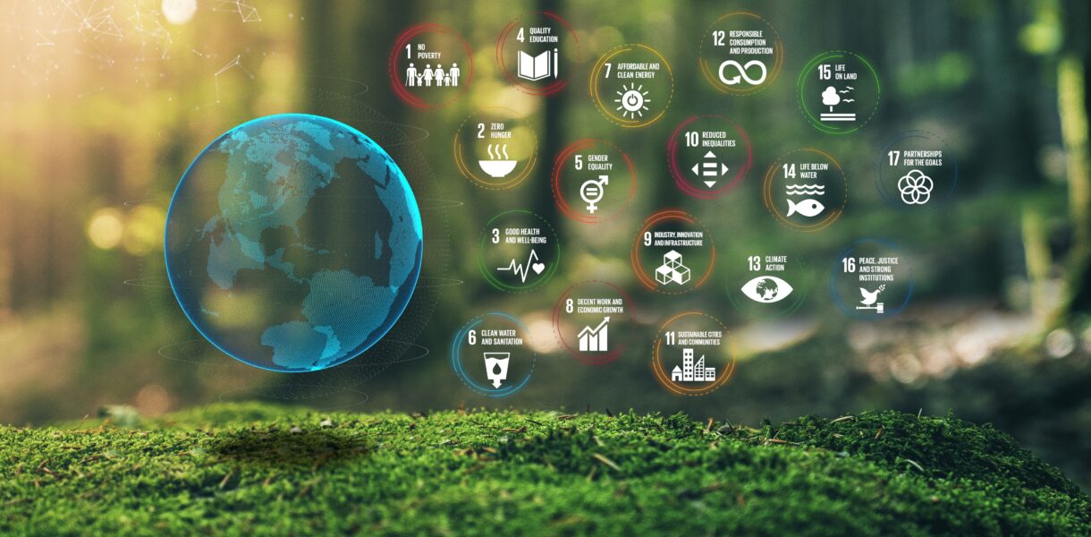 17,Global,Goals,Concept,Earth,Plexus,Design,In,Moss,Forrest